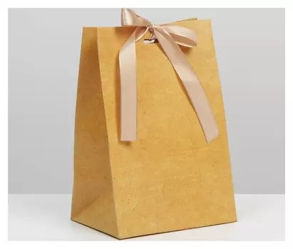 Пакет подарочный с лентой «Крафтовый», 13 × 19 × 9 см