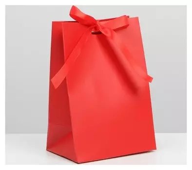 Пакет подарочный с лентой «Красный», 13 × 19 × 9 см