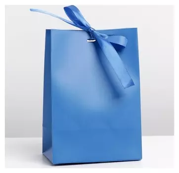 Пакет подарочный с лентой «Синий», 13 × 19 × 9 см