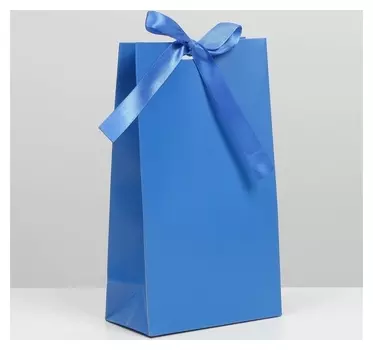 Пакет подарочный с лентой «Синий», 13 × 23 × 7 см