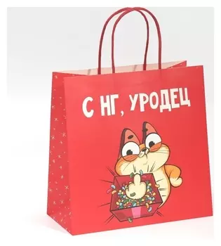 Пакет подарочный «Уродец», 22 × 22 × 11 см