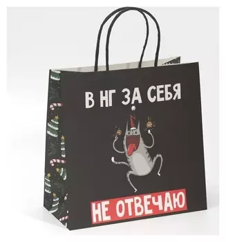 Пакет подарочный «Вообще не отвечаю», 22 × 22 × 11 см