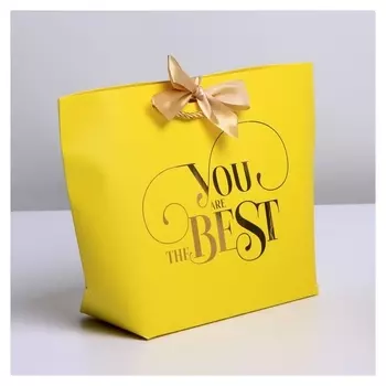 Пакет подарочный You Are The Best, 28 х 20 х 9 см