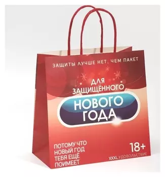 Пакет подарочный «Защищенный новый год», 22 × 22 × 11 см