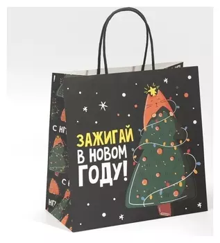 Пакет подарочный «Зажигай», 22 × 22 × 11 см