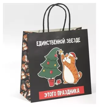 Пакет подарочный «Звезда», 22 × 22 × 11 см