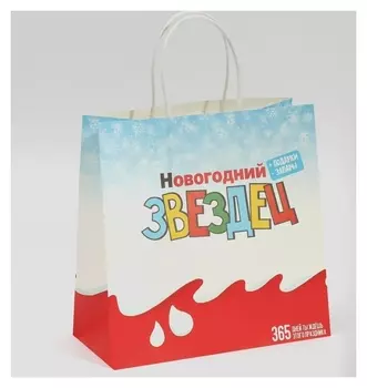 Пакет подарочный «Звездец», 22 × 22 × 11 см