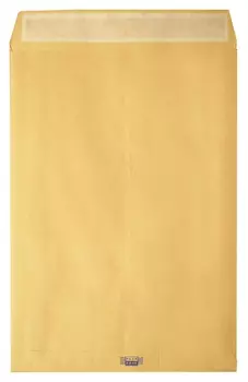 Пакеты в упаковке крафт с4стрип Largepack 229х324 мм100г200шт/уп/6286