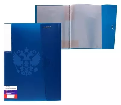 Папка 20 вкладышей, А4, 500 мкм, с клапаном, "Герб"фактура"песок", Devente