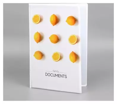 Папка для документов «Docs», 12 файлов, 4 комплекта, А4