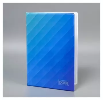 Папка для документов «Docs», 12 файлов, 4 комплекта, А4