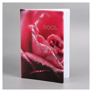 Папка для документов "Docs"