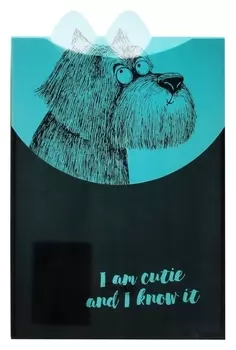 Папка-конверт А4 на липучке дизайн феникс "Крэйзи пес" черн/голуб 60451