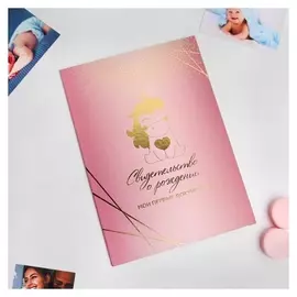 Папка под свидетельство о рождении, цвет розовый, 22,3 х 31,6 см