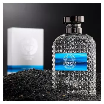 Парфюмерная вода мужская Golden Spice L'par France, 100 мл