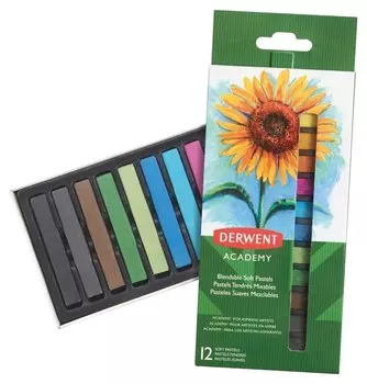Пастель Derwent Academy мягкая 12 цв., 2302397
