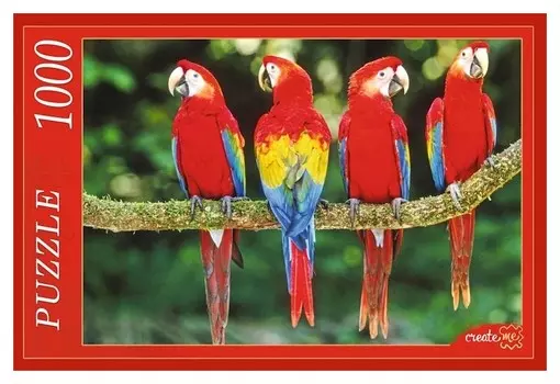 Пазл Попугаи