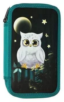 Пенал 2 секции Совушка