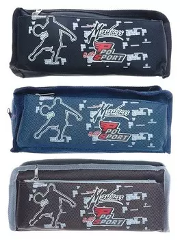 Пенал школьный «Спорт», на молнии, 2 отделения