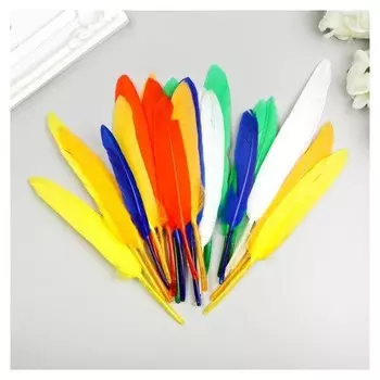 Перья декоративные прямые, 10-15 см (Набор 24 шт) 6 цветов, яркие