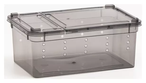 Переноска - отсадник для рептилий, 19 х 12,5 х 7,5 см, черная