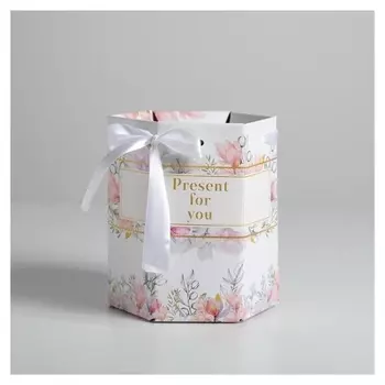Переноска складная шестригранник Present For You, 17 × 14,8 × 19,5 см