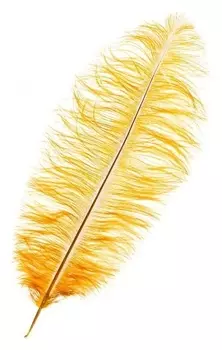 Перо для декора, длина от 45 до 50 см, цвет горчичный