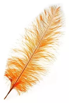 Перо для декора, длина от 45 до 50 см, цвет персиковый