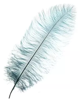 Перо для декора, длина от 45 до 50 см, цвет пудрово-зелёный