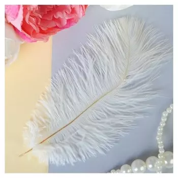 Перо для декора, размер 24 см, цвет белый