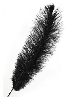 Перо для декора, размер: 30-35 см, цвет чёрный