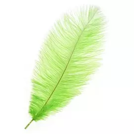 Перо для декора, размер: 30-35 см, цвет зелёный