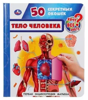 Первая энциклопедия малыша "Тело человека". 10 стр.