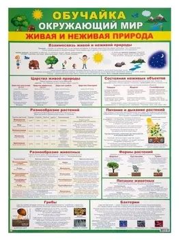 Плакат "Обучайка окружающий мир" зеленый фон, А2