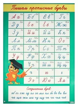 Плакат "Прописные буквы" сова, А2
