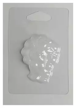 Пластиковая форма для мыла «Озорной львёнок»