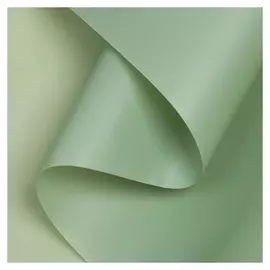 Пленка для цветов, матовая, хаки, 0,58 х 10 м