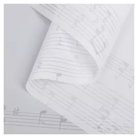 Пленка для цветов "Ноты", цвет белый, 58 см х 5 м