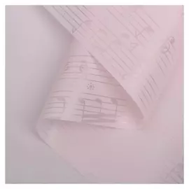 Пленка для цветов "Ноты", розовый, 58 см х 5 м