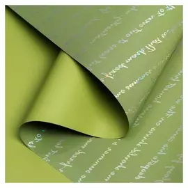 Плёнка для цветов "Письмо" 58см*5м, светло зелёный