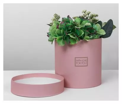 Подарочная коробка круглая «Пантон 06» 15 х 15 см