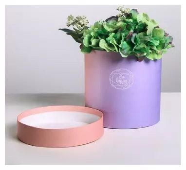 Подарочная коробка круглая Пантон 08 16 × 16 см