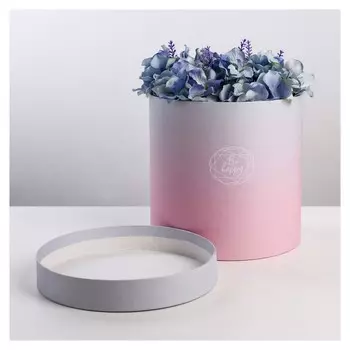 Подарочная коробка круглая «Пантон 08» 20 × 20 х 20 см