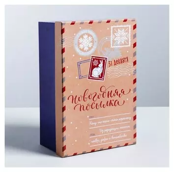 Подарочная коробка «Новогодняя посылка», 24 × 15.5 × 9.5 см