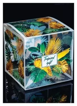 Подарочная коробка пвс, Tropical Gift 12 х 12 х 12 см