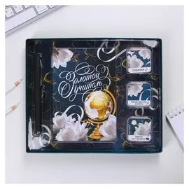 Подарочный набор: блокнот ручка скрепки зажимы "Золотой учитель"