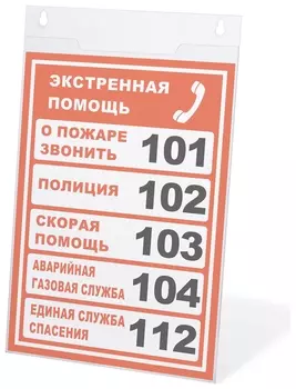 Подставка настенная для рекламных материалов вертикальная (210х297 мм), А4, оргстекло, Brauberg