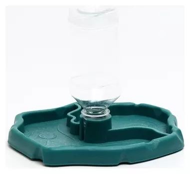 Поилка - кормушка 2 в 1 для террариума, 21 х 19,5 х 2 см, голубая