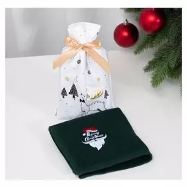 Полотенце в пакетике экономь и Я "Merry Christmas" 30*60 см, 100% хл, 260 гр/м2