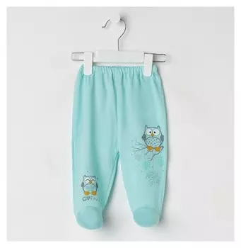 Ползунки детские Совушки, цвет мятный, рост 68 см (44)